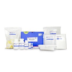MP Biomedicals SPINeasy 96-Well DNA Pro Kit for Soil SPINeasy 96-Well DNA Pro Kit for Soil | Buy Online | MP Biomedicals | Fisher Scientific